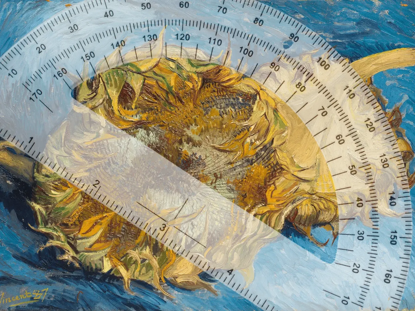 Astrolojide Açılar Eğitimi